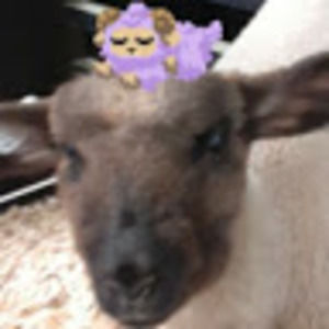 Meet your Posher, Kr